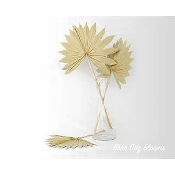 Boho City Blooms 5 Dried Palm Leaves 12-16” | Bohemian Decor for Weddings, Bouquets & Home Walls | Natural Dried Palm Spears | Simplistic Farmhouse Chic | Interior Design Dried Flowers