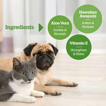 Pogi's Grooming Wipes Bundle for Home and Travel