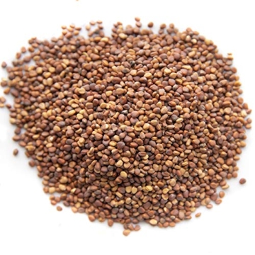 Rainbow Radish Sprouting Seeds Mix for Flavorful Microgreens