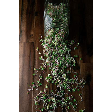 Rainbow Radish Sprouting Seeds Mix for Flavorful Microgreens