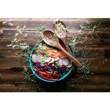 Rainbow Radish Sprouting Seeds Mix for Flavorful Microgreens