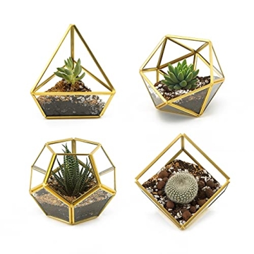 Mini Glass Geometric Terrarium Set - Unique Plant Decor