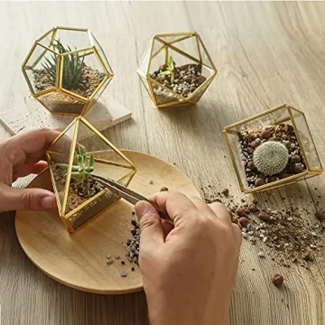 Mini Glass Geometric Terrarium Set - Unique Plant Decor