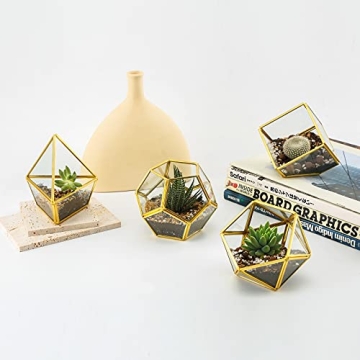Mini Glass Geometric Terrarium Set - Unique Plant Decor