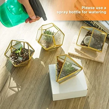 Mini Glass Geometric Terrarium Set - Unique Plant Decor