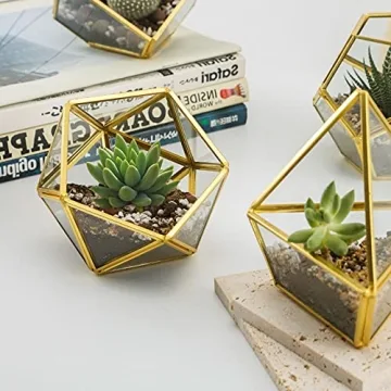 Mini Glass Geometric Terrarium Set - Unique Plant Decor