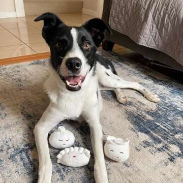 Pearhead Dim Sum Pet Toys, Squeaky Dog Toy Set, Pet Owner Must Have Dog Accessory, Set of 3, All Breed Sizes, White