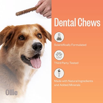 Ollie Dental Chews for Dogs - Fresh Breath & Healthy Teeth