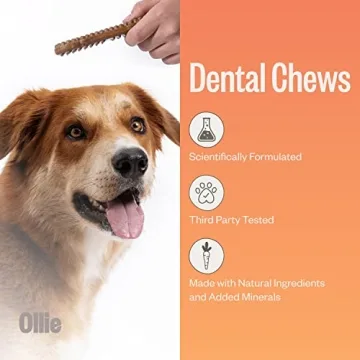 Ollie Dental Chews for Dogs - Fresh Breath & Healthy Teeth