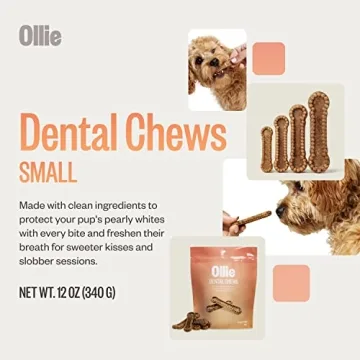 Ollie Dental Chews for Dogs - Fresh Breath & Healthy Teeth