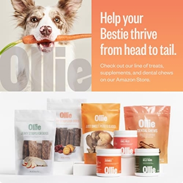 Ollie Dental Chews for Dogs - Fresh Breath & Healthy Teeth