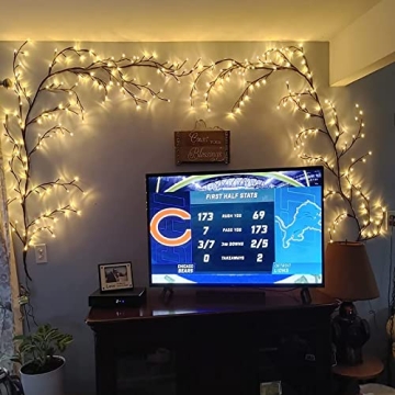 Enchanted Willow Vine Lights for Warm White Decor