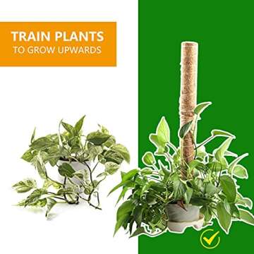 BERNIE ANSEL 4 Pack 15 Inch Moss Pole - Coir Totem Pole for Plant Support Extension,Stackable Coco Plant Support Pole for Climbing Plants - Support Plants to Grow Upwards