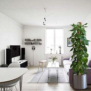 BERNIE ANSEL 4 Pack 15 Inch Moss Pole - Coir Totem Pole for Plant Support Extension,Stackable Coco Plant Support Pole for Climbing Plants - Support Plants to Grow Upwards