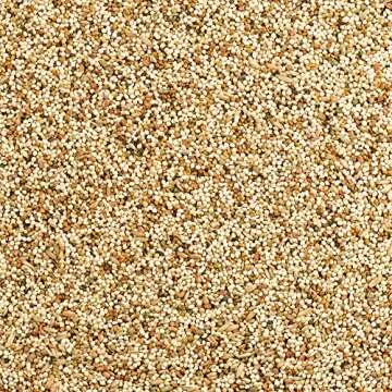 Wild Harvest Daily Blend Nutrition Diet for Parakeet, Canary and Finch, Orange flavored, 10 Pounds