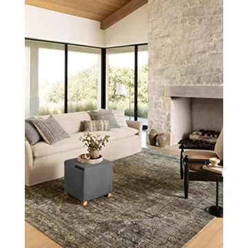 Loloi Amber Lewis Morgan Area Rug - Elegant & Durable