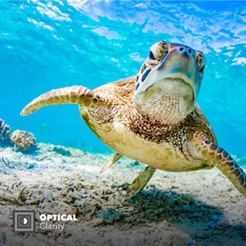 PolarPro DiveMaster Red Filter Pack for GoPro Hero8