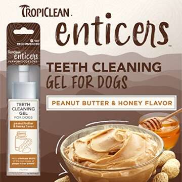 TropiClean Enticers Dog Teeth Cleaning Treat Gel | Peanut Butter Flavored Dog Toothpaste Alternative| 2 oz