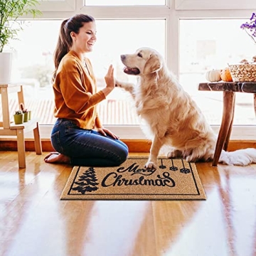 AerWo Merry Christmas Door Mat - Festive and Durable Entryway Rug