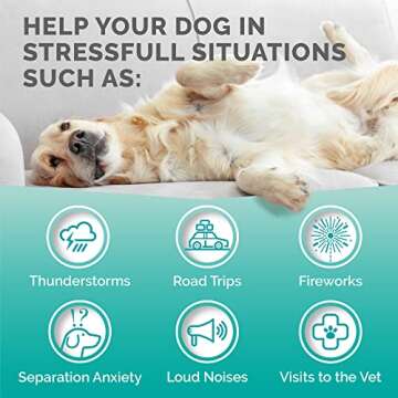 Hemp Calming Chews for Dogs - Natural Anxiety Relief