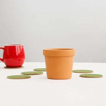 Suck.UK Cactus Coasters – Fun and Eco-Friendly Design