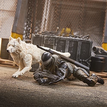 G.I. Joe Snake Eyes & Timber 6-Inch Action Figure Collectible