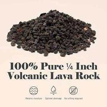 Bonsai Jack - Black 1/4 inch Horticultural Lava Rock Soil Additive for Cacti, Succulents and Plants - No Dyes or Chemicals - 100% Pure Volcanic Rock (1 Gallon)