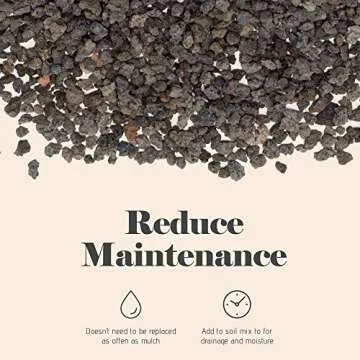 Bonsai Jack - Black 1/4 inch Horticultural Lava Rock Soil Additive for Cacti, Succulents and Plants - No Dyes or Chemicals - 100% Pure Volcanic Rock (1 Gallon)