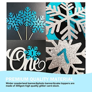 Shempeium Winter Onederland 1st Birthday Decorations Set