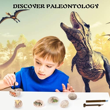 Dinosaur Excavation Kit for Kids - Fun & Educational!