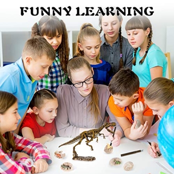 Dinosaur Excavation Kit for Kids - Fun & Educational!