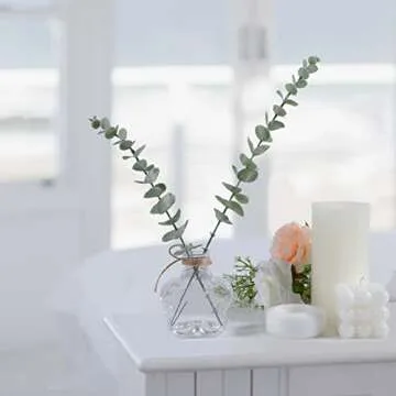 12pcs Clear Mini Bud Vase Set for Home Decoration