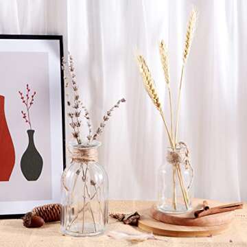 12pcs Clear Mini Bud Vase Set for Home Decoration