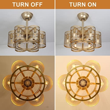 Stylish SMLERAY Caged Ceiling Fan with Light & Remote