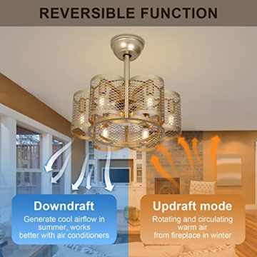 Stylish SMLERAY Caged Ceiling Fan with Light & Remote