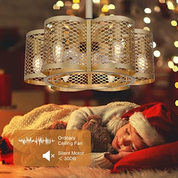 Stylish SMLERAY Caged Ceiling Fan with Light & Remote