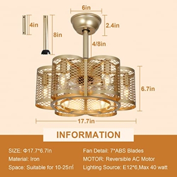 Stylish SMLERAY Caged Ceiling Fan with Light & Remote