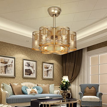 Stylish SMLERAY Caged Ceiling Fan with Light & Remote