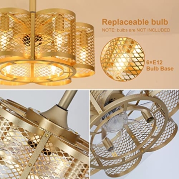 Stylish SMLERAY Caged Ceiling Fan with Light & Remote