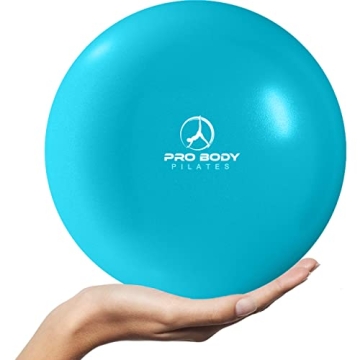 ProBody 9" Pilates Barre Ball - Perfect Exercise Ball for All Workouts