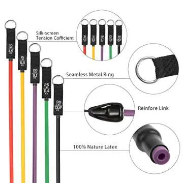 Resistance Bands Set with 5 Stackable Exercise Bands Handles Carry Bag Door Anchor Ankle Straps Guide Book for Resistance Training Physical Therapy Home Workouts Yoga 100 LBS (All Fit 12 pcs)