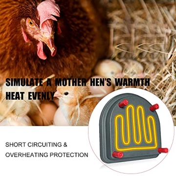Buy Kaduocom Chick Duckling Brooder Heating Plate Today