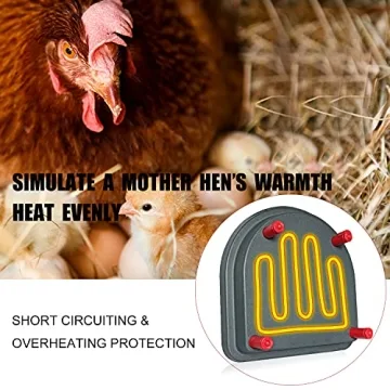 Buy Kaduocom Chick Duckling Brooder Heating Plate Today