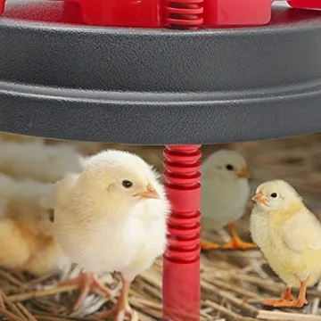 Buy Kaduocom Chick Duckling Brooder Heating Plate Today