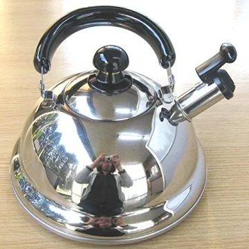 Quickone Takei Whistle Kettle Made in Japan 2.5L