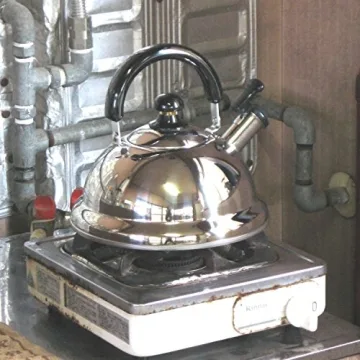 Quickone Takei Whistle Kettle Made in Japan 2.5L