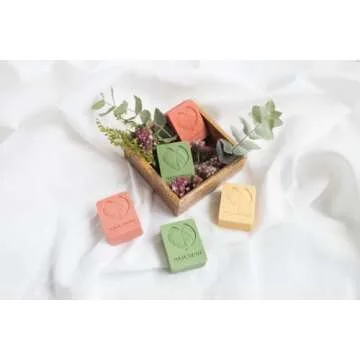 Naturtint Shampoo & Conditioner Bar for Eco-Friendly Care