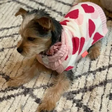 Stylish KYEESE Winter Sweater with Leash Hole for Dogs