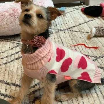 Stylish KYEESE Winter Sweater with Leash Hole for Dogs