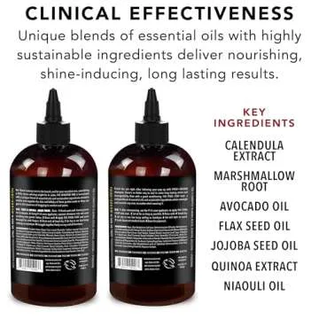 Pride and Groom Dog Shampoo & Conditioner Box Set - 32oz